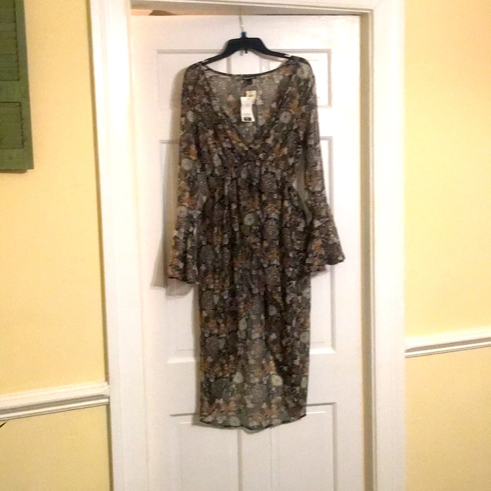 Dress (sheer)